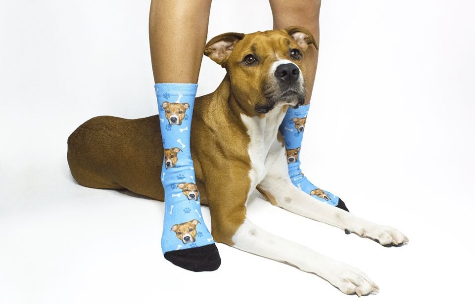 pupsocks coupon code